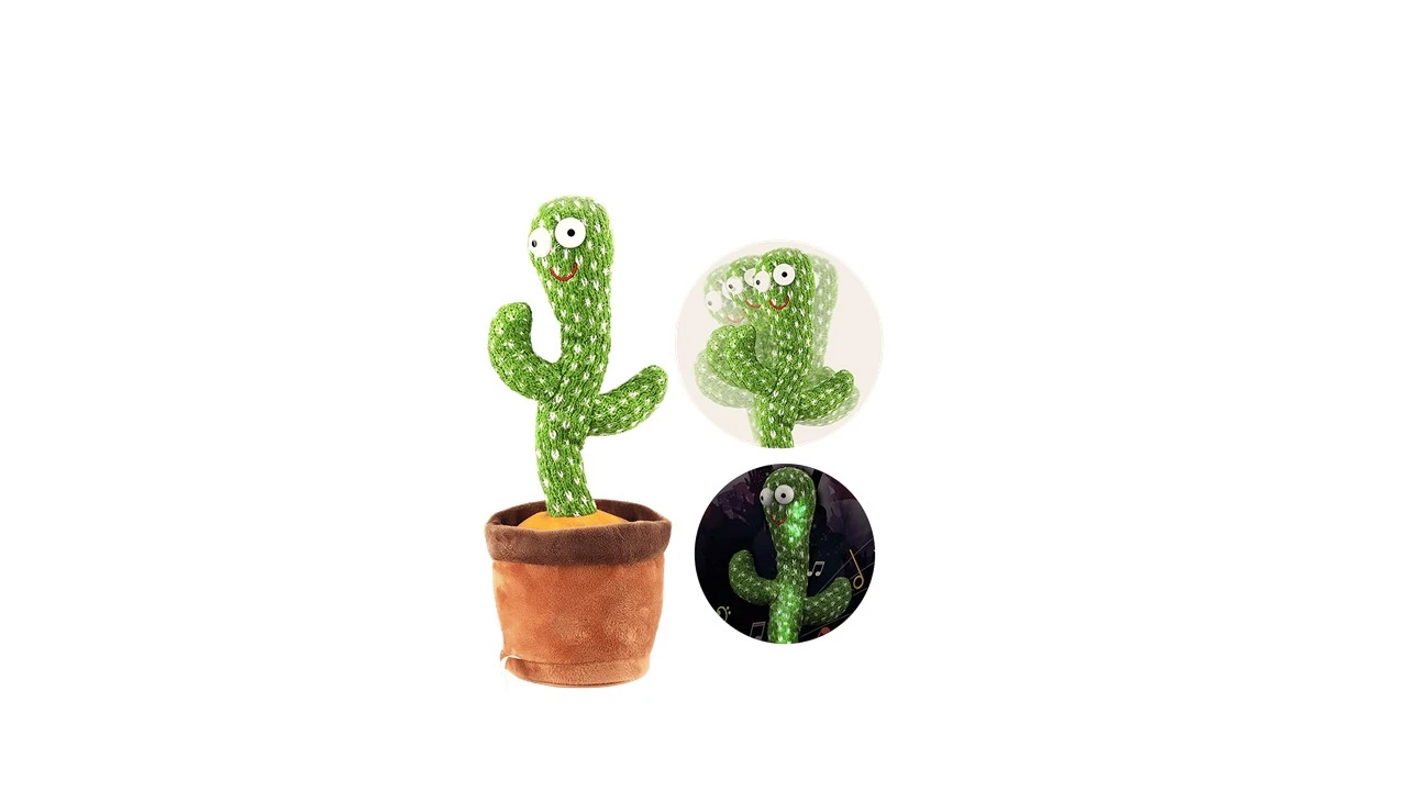 CACTUS