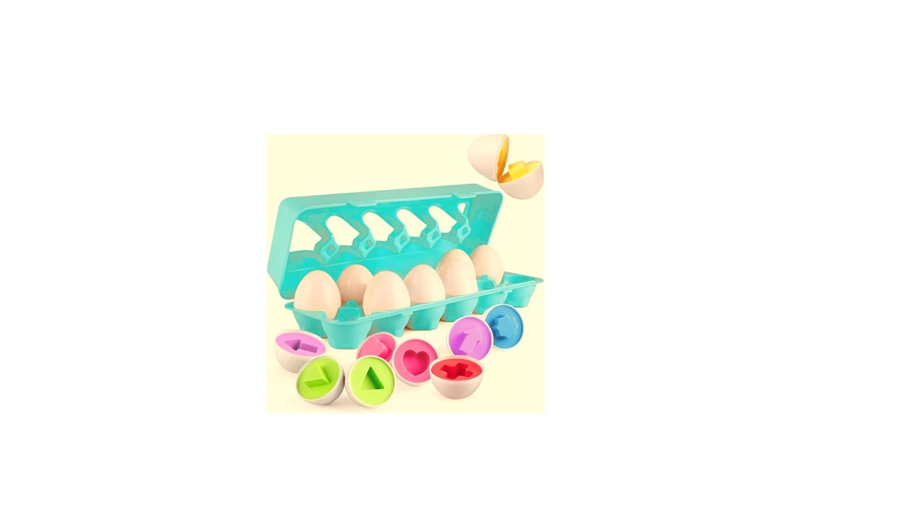 EGG TRAY
