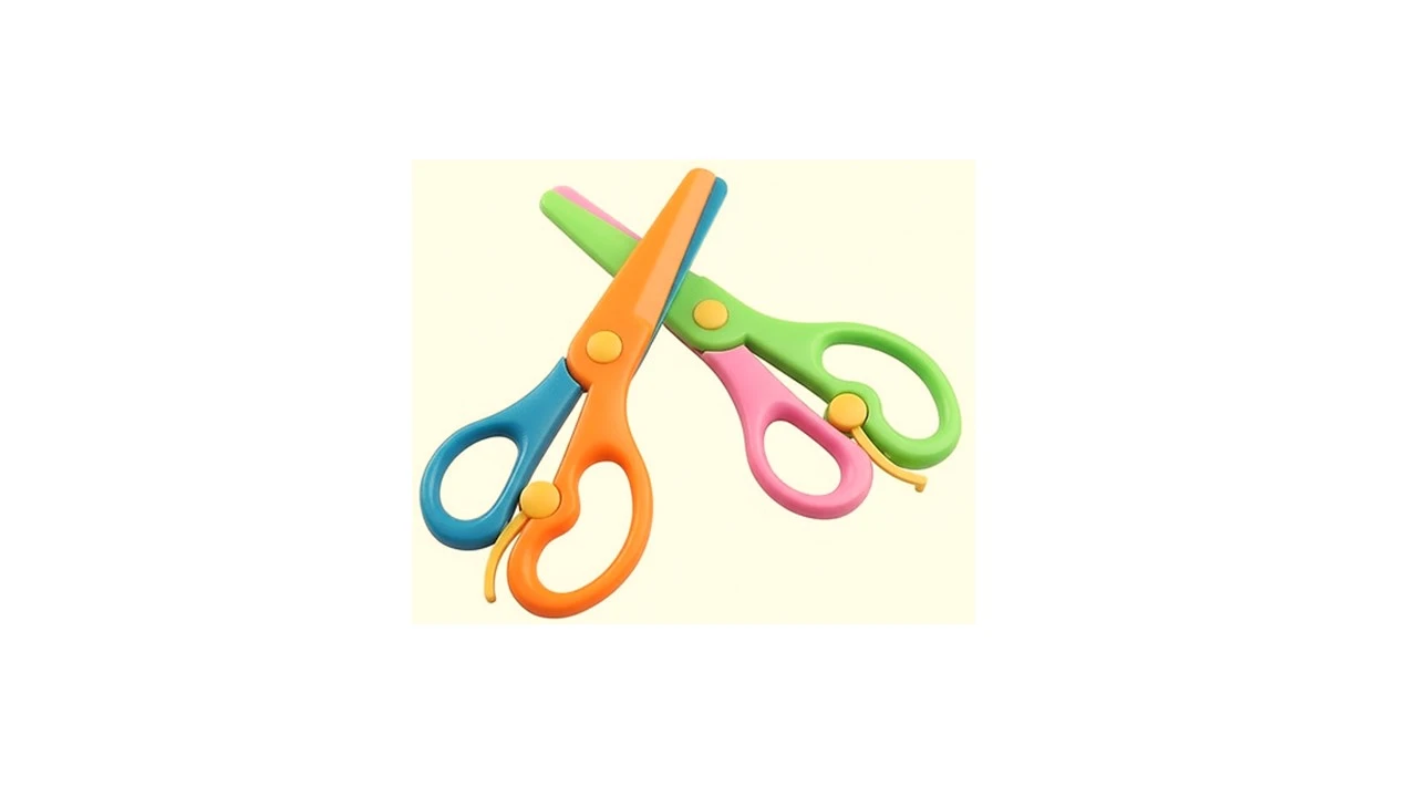 Stainless Steel Scissor