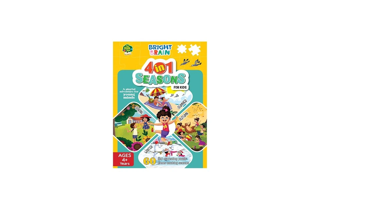BRIGHT BRAIN PUZZLE BOX 4 IN 1 SEASONS (BT)