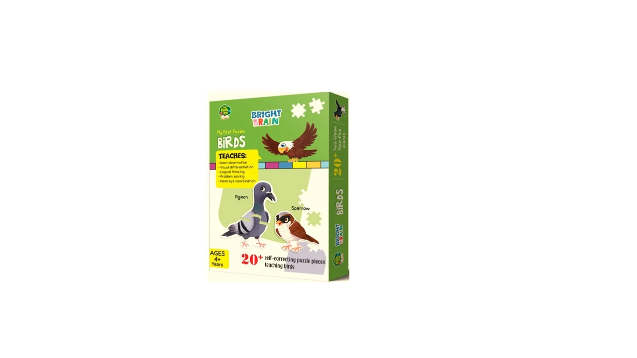 BRIGHT BRAIN PUZZLE BOX BIRD (BT)