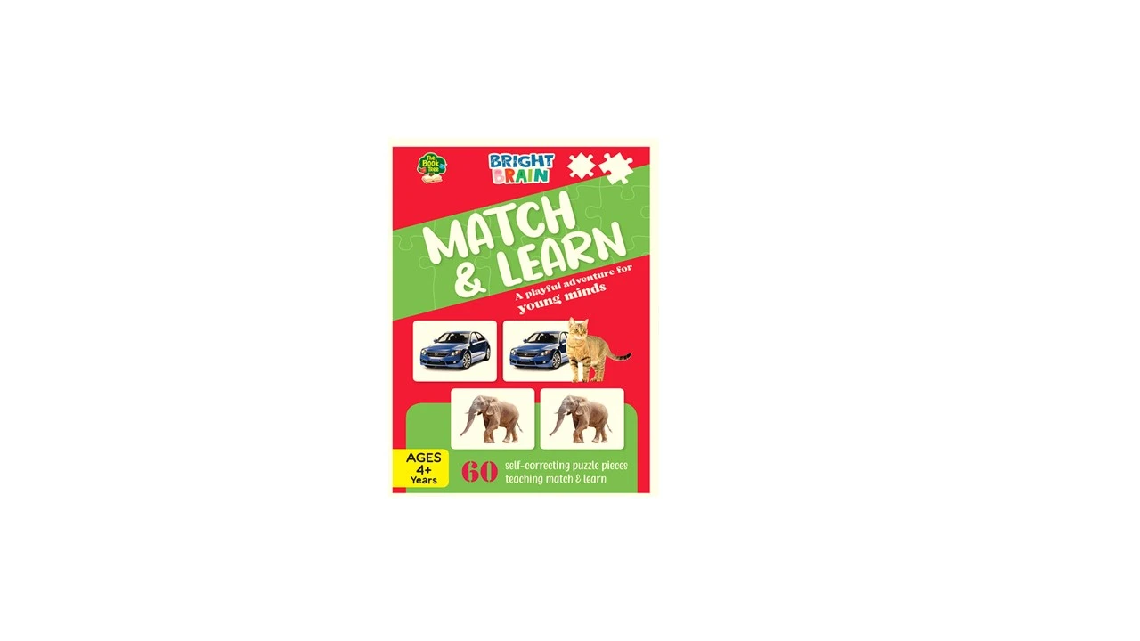 BRIGHT BRAIN PUZZLE BOX MATCH & LEARN (BT)