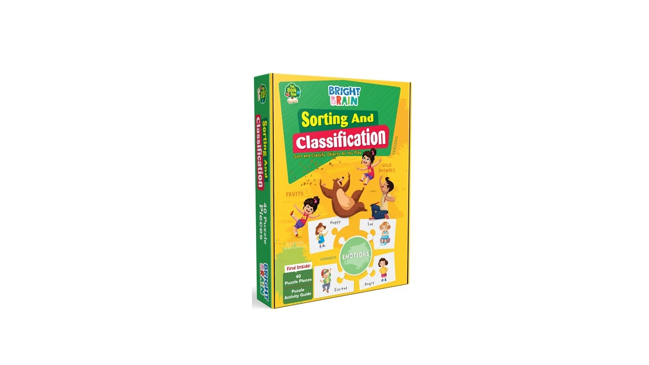 BRIGHT BRAIN PUZZLE BOX SORTING & CLASSIFICATION